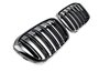 BMW X1 F48 model Piano Zwart M styling Grill Nieren _